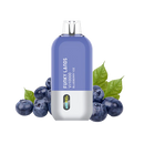 Funky Lands VI10000 - Blueberry Ice